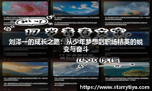 星空体育官网